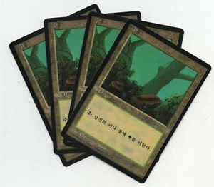 Forest B x 4 Magic The Gathering 4th FBB Christopher Rush COREANO CASI NUEVO envío tarifa plana - Imagen 1 de 1