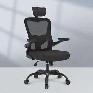 FLEXISPOT Ergonomic Office Chairs Mesh Computer Desk Chair, 3D Flip-up Armrests - Picture 1 of 41