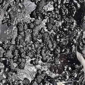 Anda Skin Museum Grade  Indochinite Tektite (56g) Meteorite Rare Collectible - Picture 1 of 13