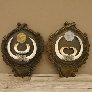 Keilerwaffen 2 er Set Wildschweinwaffen (Sus scrofa) Medaillen Keiler Gewaff - Bild 1 von 10