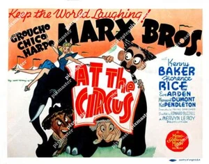 MARX BRÜDER IM ZIRKUS 1939 LOBBY TITELKARTE GROUCHO HARPO CHICO 11 X 14 TC - Bild 1 von 1