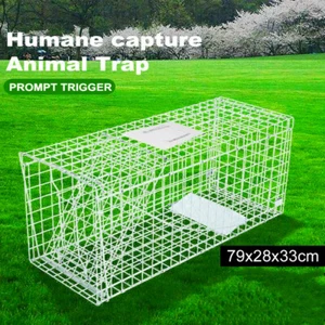 Folding Humane Animal Trap Cage Possum Fox Koala Rabbit Bird Cat Live Catch - Picture 1 of 12
