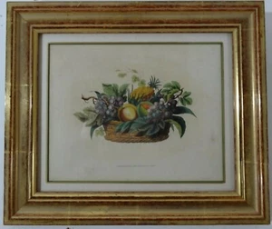 Antiker Obstdruck Datum 1820, Originaldruck gerahmt in 22 Karat Blattgold, göttlich - Bild 1 von 7