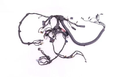 Harley Davidson Dyna Low Rider 2016 fabricante de equipos originales arnés de cableado principal telar U10 Foto 1 de 4