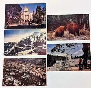 UVPC California Sacramento, Capitall City Sierras Moutains Braunbär Postkarte - Bild 1 von 7