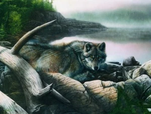 Impresión artística Wolf Kevin Daniel 16x12 - Imagen 1 de 1