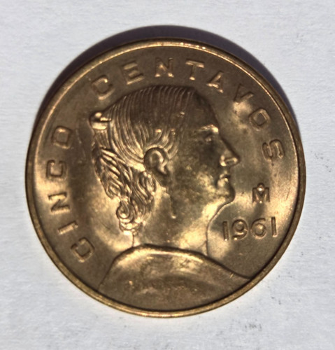 Foto 1 di 2