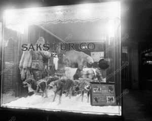 Saks Fur Co Window Wolves & Bear Growl 8x10 Reprint Of Old Photo - Picture 1 of 1