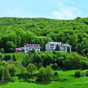 Palatynat romantyczny dla 2 os. Wellness Hotel 5 nocy Śniadanie 1x Kolacja Basen - Zdjęcie 1 z 12