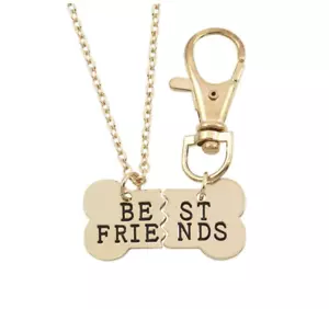 Gold Dog Tag Pendant Best Friends 2 Piece Dog Collar & Owner Matching Necklace - Picture 1 of 1