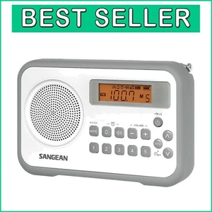 PR-D18 Stylish Portable Radio with Alarm Function and Battery Indicator - Picture 1 of 6