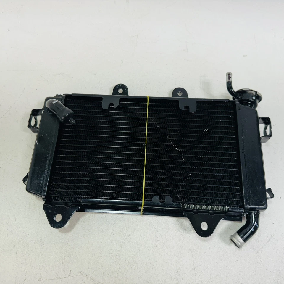 Radiador KTM genuino modelo KTM DUKE 200 250 390 2017-2020 SIN VENTILADOR Foto 1 de 4