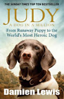 Damien Lewis Judy: A Dog in a Million (Paperback)