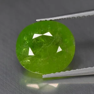 4,07 kt oval_Auffälliger natürlicher grüner Demantoid Granat Edelstein - Bild 1 von 1