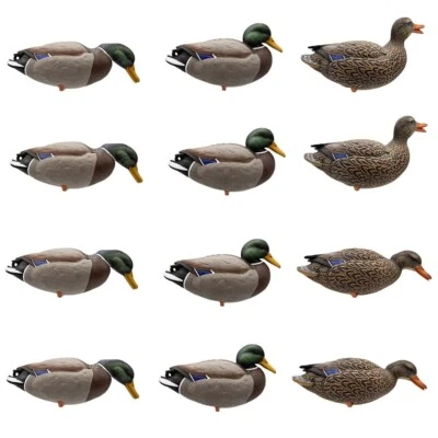 HD FULL BODY MALLARD DUCK DECOYS - FIELD DECOYS & STAKES - 12 PACK - FA-244300 - Image 1 of 4