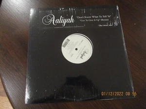 SEALED Aaliyah  LP VINYL RECORD 2003 Dont Know What to Tell Ya Got Give It Up 12 - Picture 1 of 2