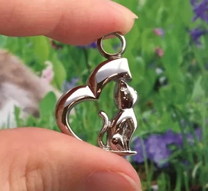 Cremation Jewelry Pendant Urn Ashes Silver Cat Heart Memorial Gift Kitten Angel - Picture 1 of 12