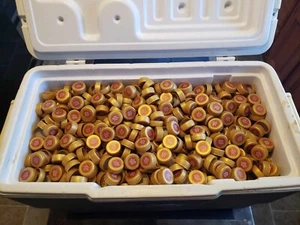 1,911 Old English 800 42 OZ Plastic Bottle Top Caps Soon to be Discontniued - Picture 1 of 3