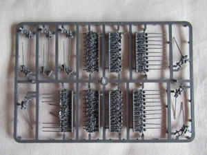 Epic Pike And Shotte Grey Infantry Sprue - ECW TYW *Epic Battles* Warlord Games - Picture 1 of 1
