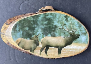 Rocky Mountain National Park Colorado Wall Plaque Wood Slab “Two Elk” Souvenir - Picture 1 of 12