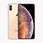 Apple iPhone XS 256GB (Unlocked) - Gold - Face ID Not working