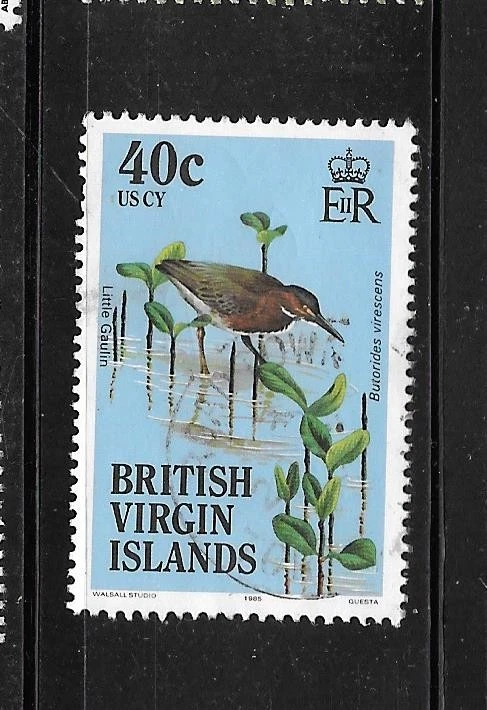 ISLAS VÍRGENES BRITÁNICAS SC#502 1985 40c PÁJARO EN MUY BUEN ESTADO USADO SELLO TÓPICO DEFINITIVO Foto 1 de 1