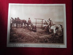 HELIOGRAVURE - Russie - Ukraine - Imagen 1 de 1