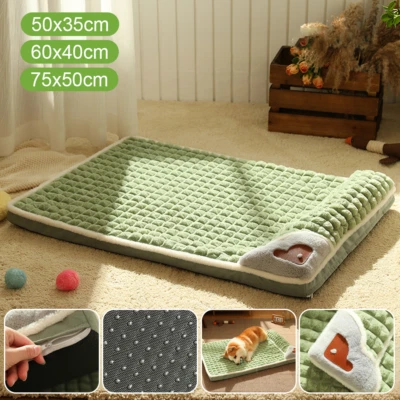 Hundebett Orthopädisch Hundekissen Haustierbett Plüsch Hundesofa Katzenbett Bett - Bild 1 von 4