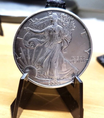 2003  $1 American Silver Eagle argento .999 1 Oz oncia - Immagine 1 di 2