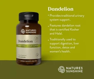 Dandelion 100 cap - Picture 1 of 3