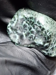 Monster Big Polished Michigan Isle Royale Greenstone Chlorastrolite Gem 9.9g - Picture 1 of 12