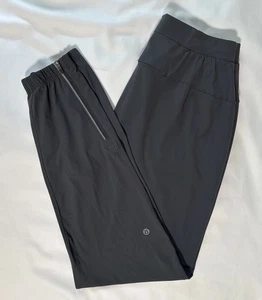 Mint🌟Lululemon Surge Jogger *29" Size S Graphite Grey $128 - Picture 1 of 8