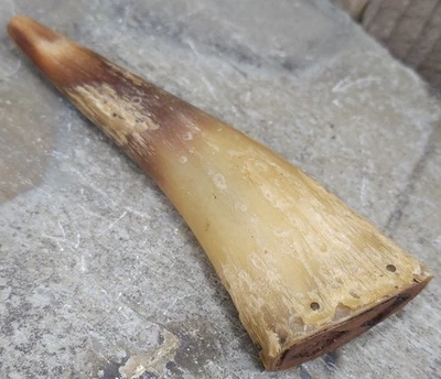 Antique Real Cow Bull Gunpowder Horn Powder Flask Carved Wood Muzzle Loader - Image 1 of 4