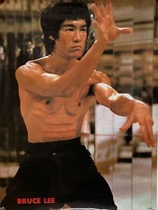 Bruce Lee Poster Druck #BL-003 (nur gerollter Druck - kein Rahmen) 15" Breite x 20-7/8" Länge Neu aus altem Lagerbestand - Bild 1 von 4