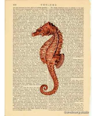 DREAMERY STUDIO Red Sea Horse Art Print on Vintage Book Page Seahorse Sea Ocean Home Decor Gifts