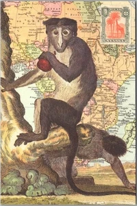 Vintage MONKEY / Animal 4x6 Postcard / Map of Africa 2008 Cavallini Papers Card - Picture 1 of 2