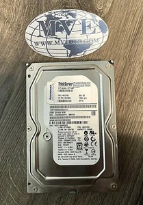 LOTE 2 DISCOS DUROS SATA LENOVO 46U3100 46U3090 67Y1400 THINKSERVER 250 GB 7200 RPM - Imagen 1 de 6