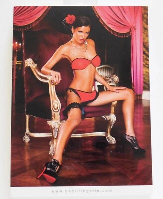 Baci Lingerie Mesh Mini Skirt Set One Size New - Image 1 of 2