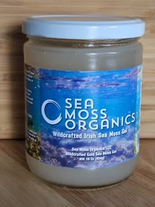 Ocean Wildcrafted Gold Sea Moss 16 Oz in a glass jar - Picture 1 of 6