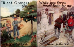 Vintage Postcard Oranges Winter In California Snowballs Winter In The East - Picture 1 of 2