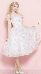 Secret Honey Park Date Dress  Enchanted Giselle Disney Princess - Picture 1 of 9