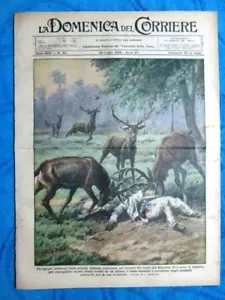 La Domenica del Corriere 28 luglio 1929 Lahore - America - Giulietti - Picture 1 of 1