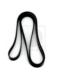 Cinghia Poly-V PER Vauxhall Vectra MK II (C) GTS 2.8 V6 Turbo 188 KW 255 CV - Imagen 1 de 1