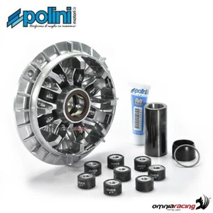 Variador de alta velocidad Polini para Yamaha Tmax 530/DX/SX 2017-2019 - Imagen 1 de 5
