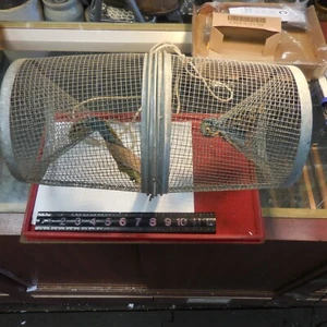 Vintage Galvanized Wire Mesh Minnow Trap Fishing Bait Trap Primitive Rustic - Picture 1 of 9