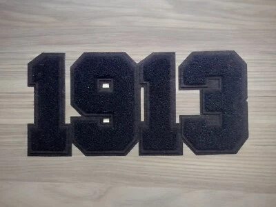 12" x 4.25" Delta Sigma Theta 1913 chenille and embroidered iron on patch - Image 1 of 4