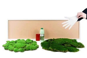 DIY Set Moosbild Geschenkidee Wandbild selber machen kleben Oster Dekoration - Bild 1 von 29