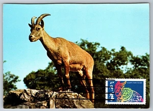 3747 Chinese Lunar New Year, Year of the Ram FDC Maxi Card - Picture 1 of 2