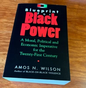 BLUEPRINT FOR BLACK POWER BY AMOS WILSON 1998 PB 2ND PRINTING MORAL POLITICAL - Picture 1 of 4