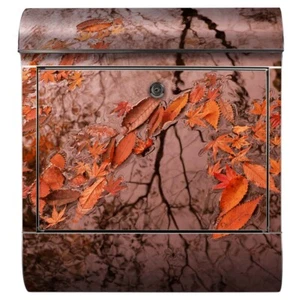 Briefkasten Herbst Laub Jahreszeit Blätter Natur Wasser Pfütze Teich Baum - Bild 1 von 9